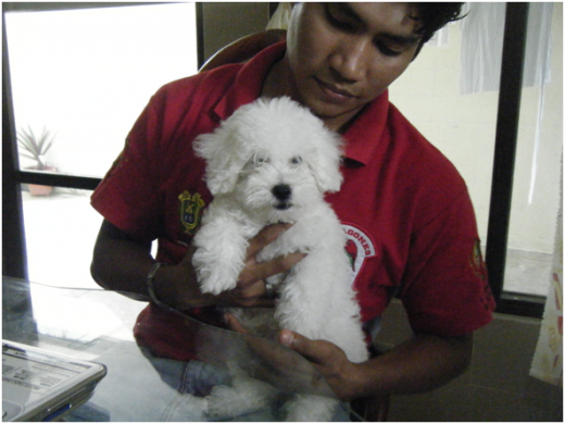 rony jugando con su papa